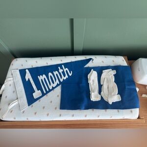 Blue and White Monthly Milestone Felt Pennant